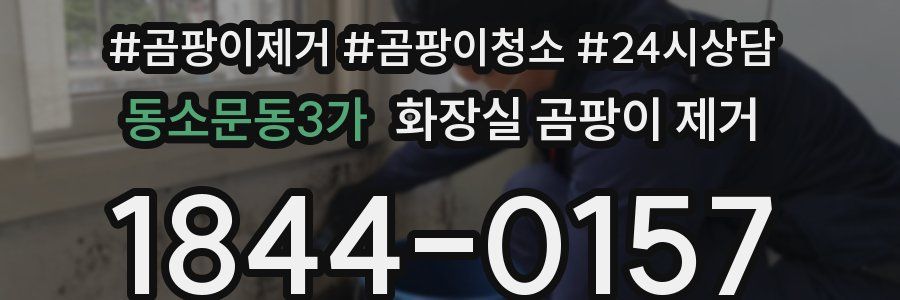 동소문동3가 화장실 곰팡이 제거