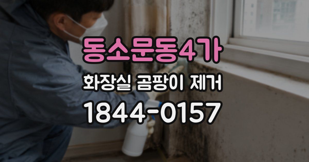 동소문동4가 화장실 곰팡이 제거