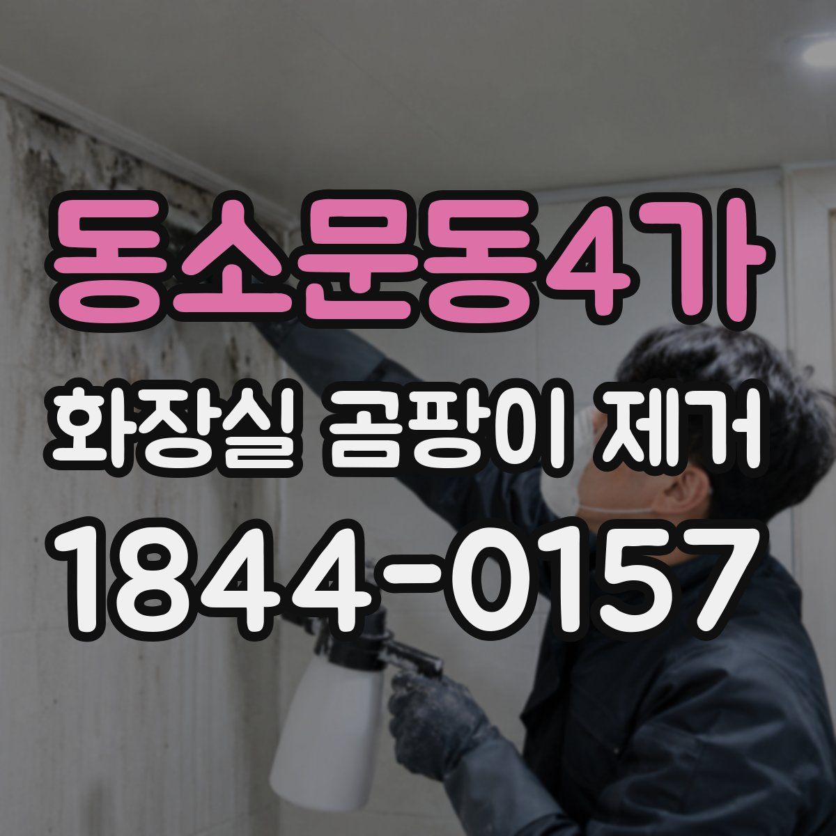 동소문동4가 화장실 곰팡이 제거