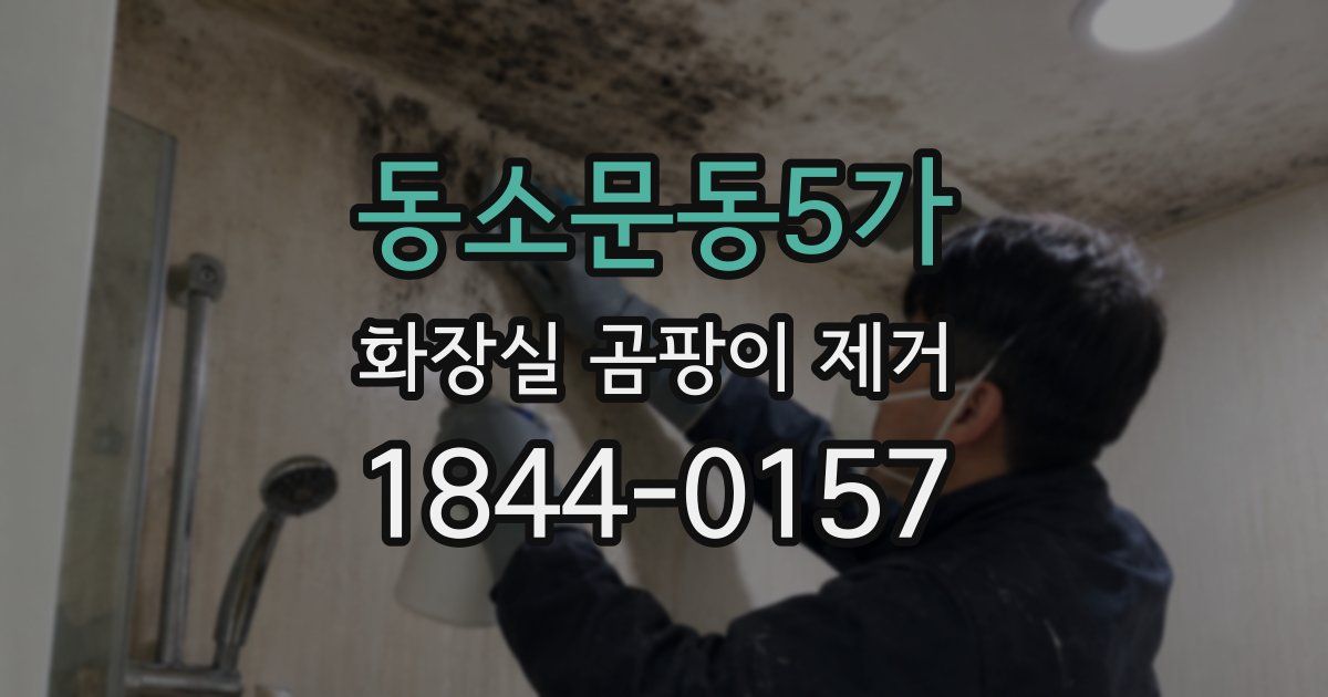 동소문동5가 화장실 곰팡이 제거