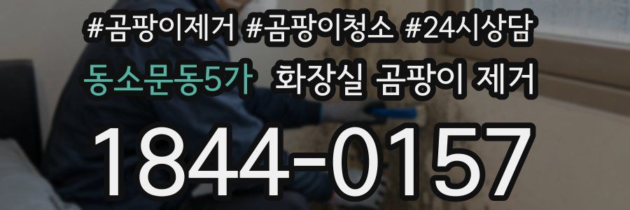 동소문동5가 화장실 곰팡이 제거