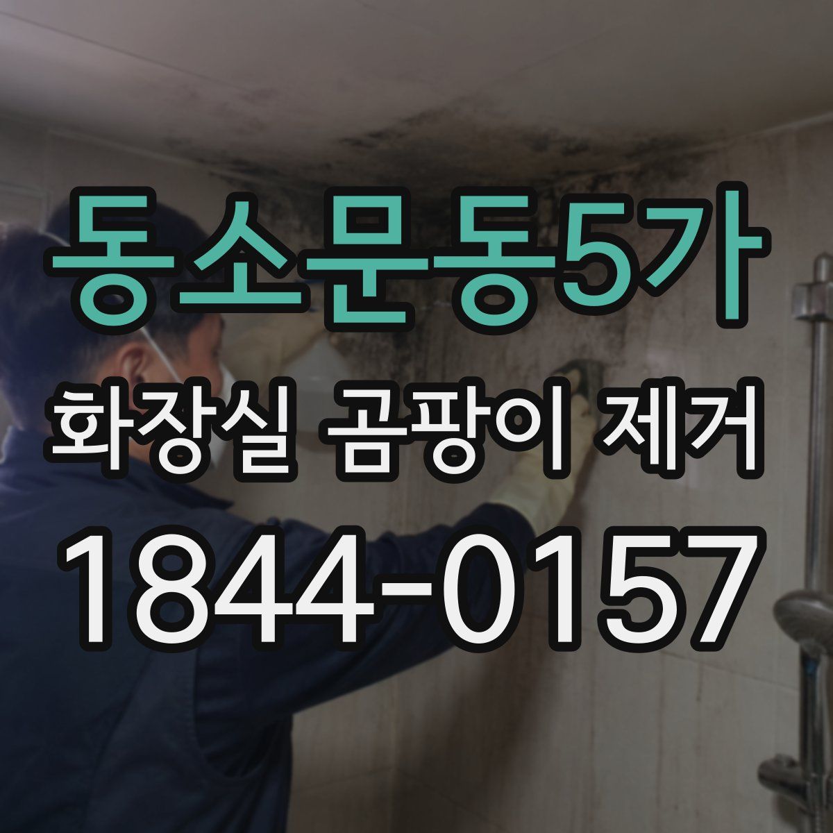 동소문동5가 화장실 곰팡이 제거