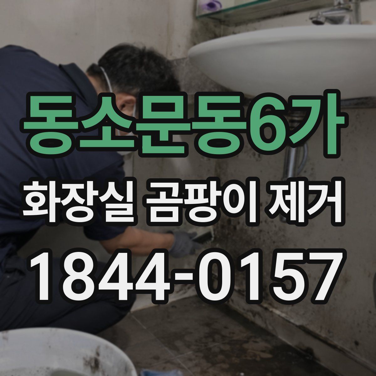 동소문동6가 화장실 곰팡이 제거