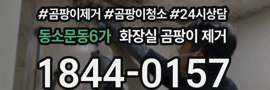 동소문동6가 화장실 곰팡이 제거