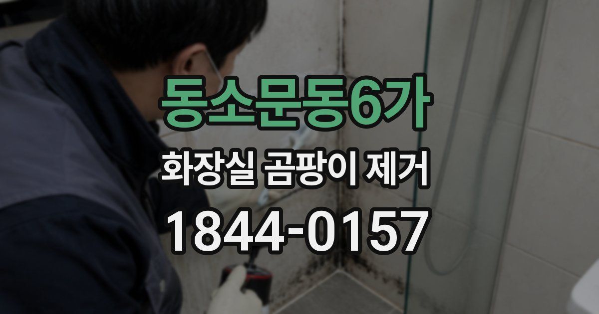 동소문동6가 화장실 곰팡이 제거