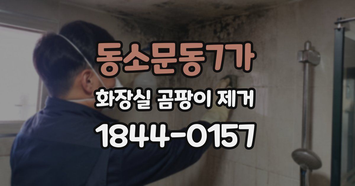 동소문동7가 화장실 곰팡이 제거
