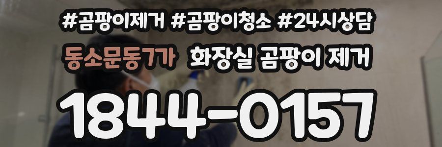 동소문동7가 화장실 곰팡이 제거