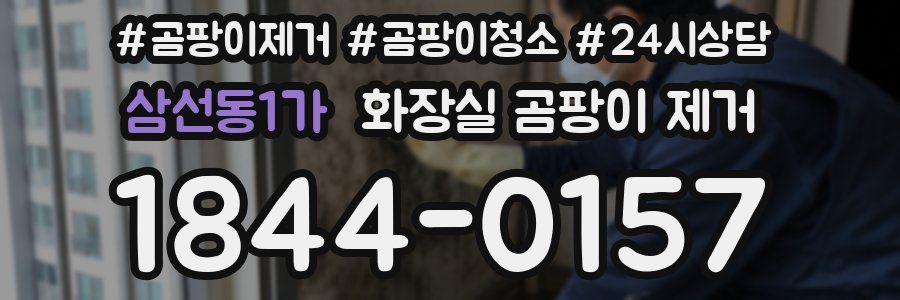 삼선동1가 화장실 곰팡이 제거