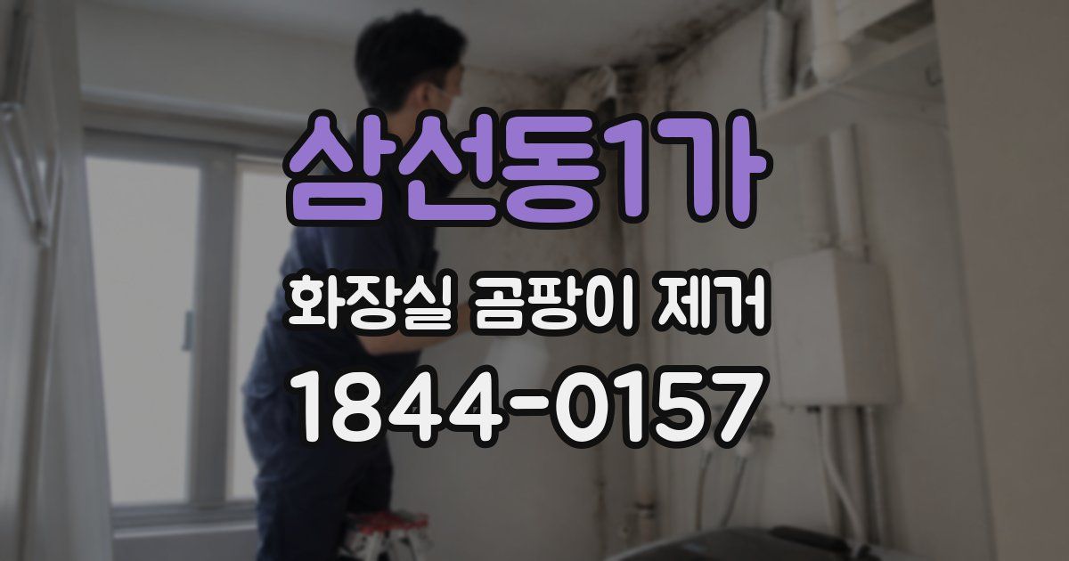 삼선동1가 화장실 곰팡이 제거