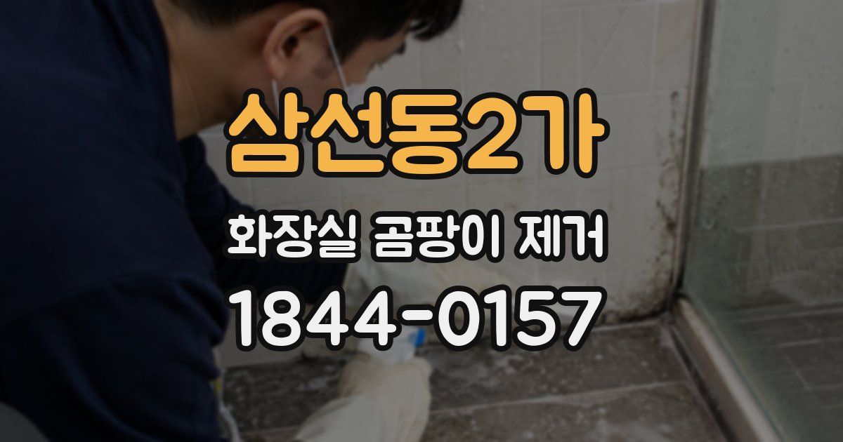 삼선동2가 화장실 곰팡이 제거