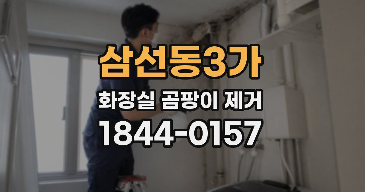 삼선동3가 화장실 곰팡이 제거