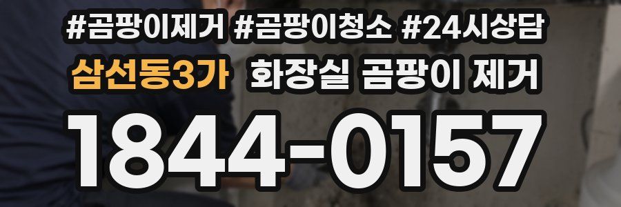 삼선동3가 화장실 곰팡이 제거