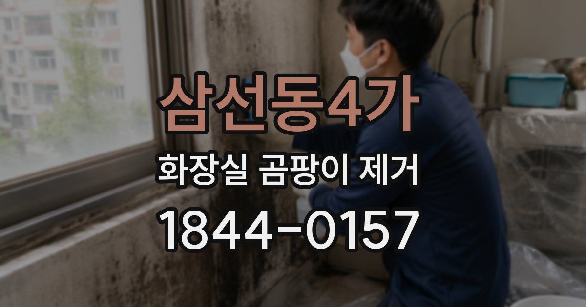 삼선동4가 화장실 곰팡이 제거