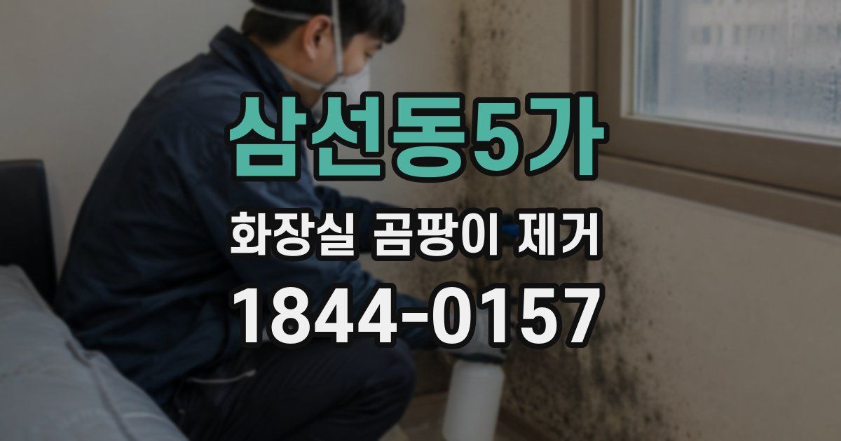 삼선동5가 화장실 곰팡이 제거