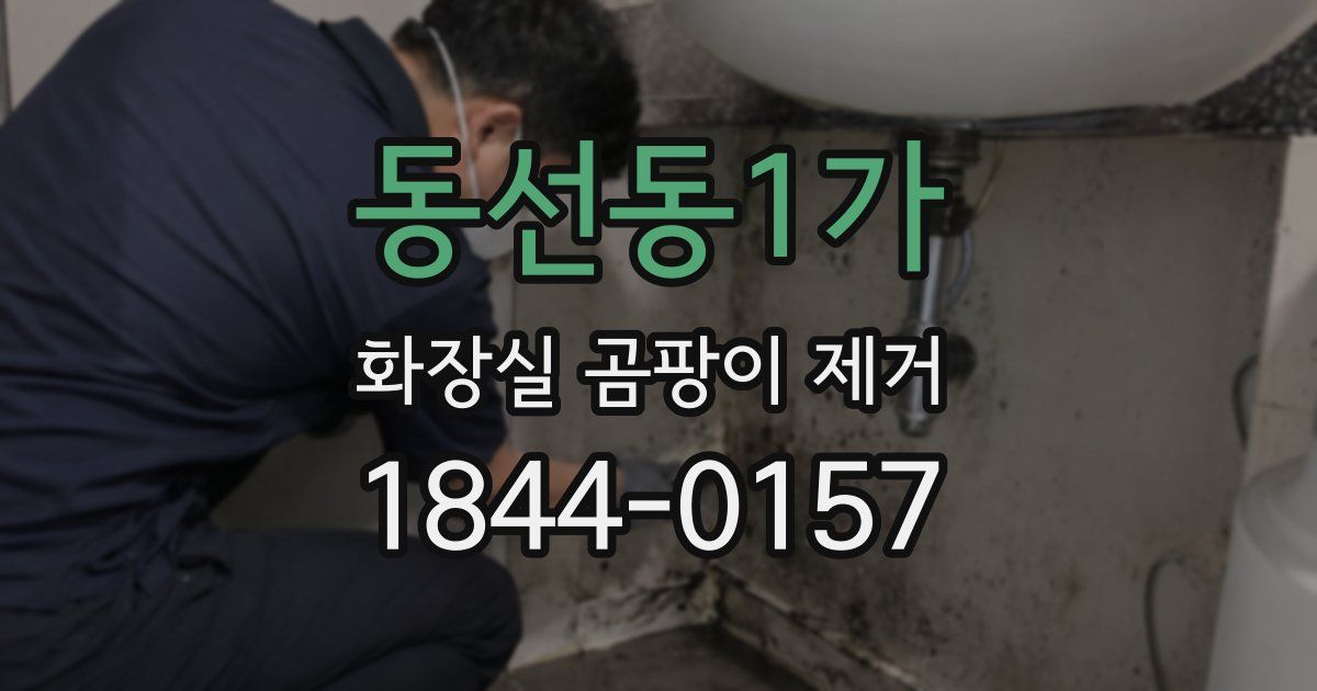 동선동1가 화장실 곰팡이 제거