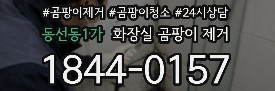 동선동1가 화장실 곰팡이 제거