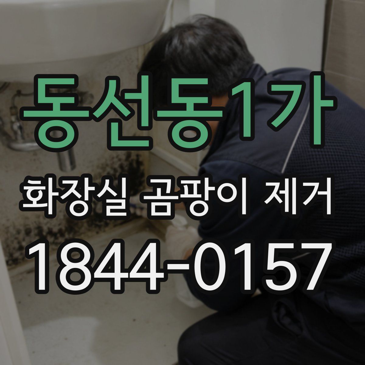 동선동1가 화장실 곰팡이 제거