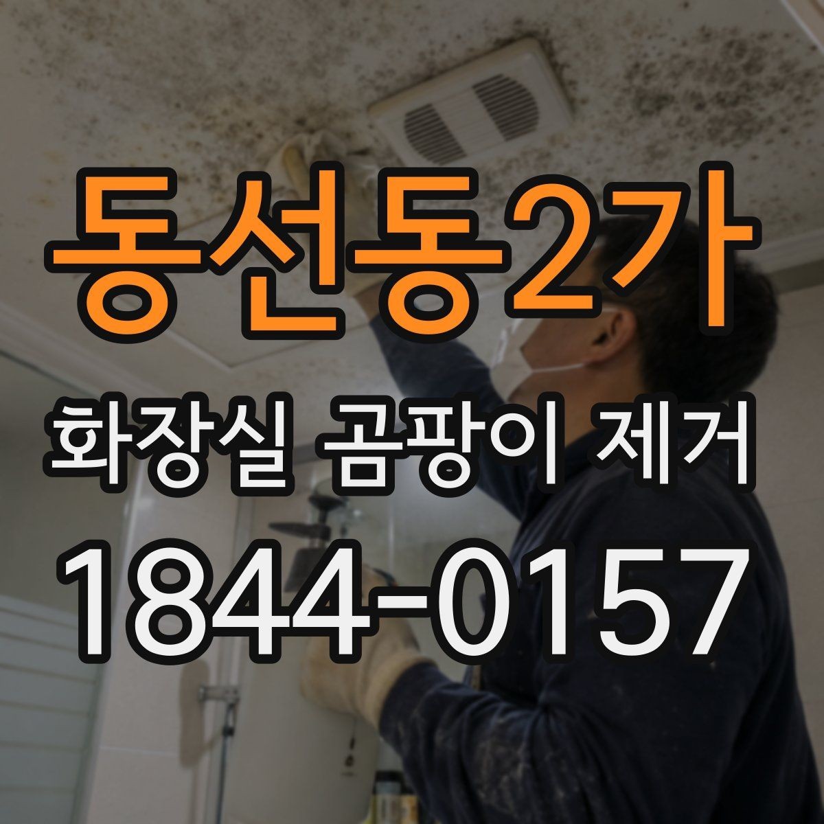 동선동2가 화장실 곰팡이 제거 자주 생기는 타일 틈새 집중 관리