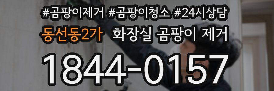 동선동2가 화장실 곰팡이 제거