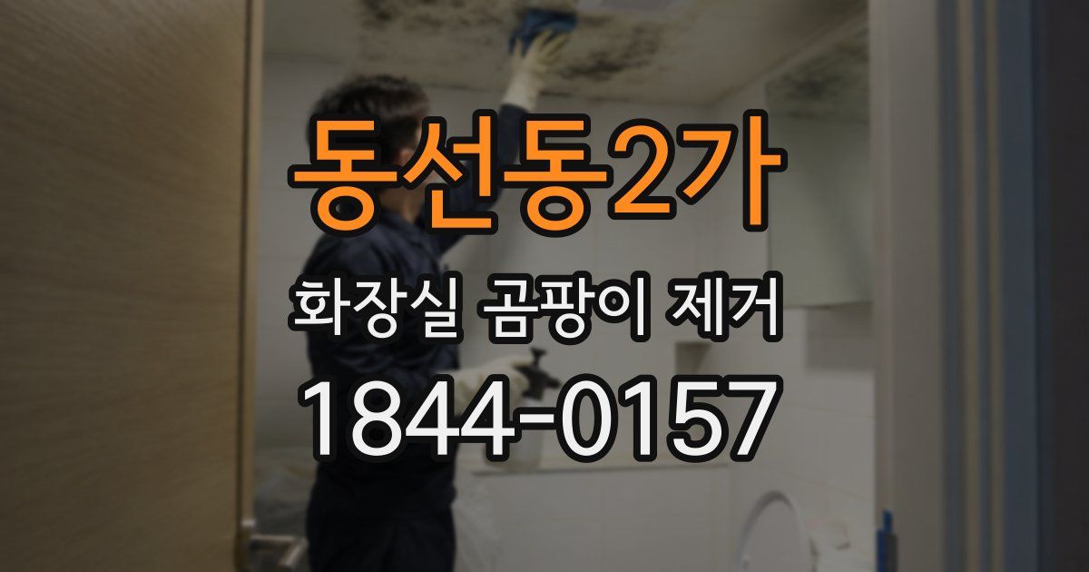 동선동2가 화장실 곰팡이 제거