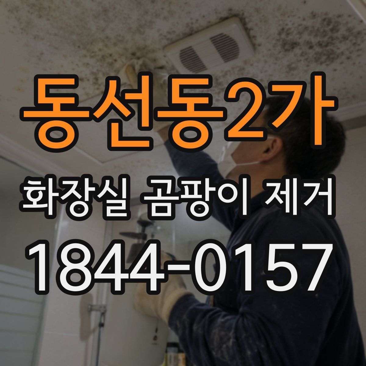 동선동2가 화장실 곰팡이 제거
