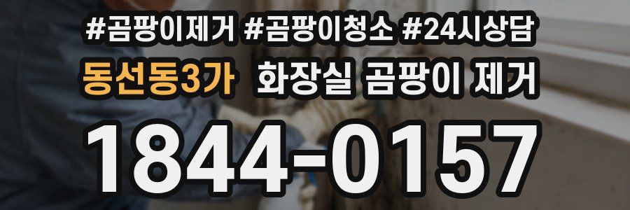 동선동3가 화장실 곰팡이 제거