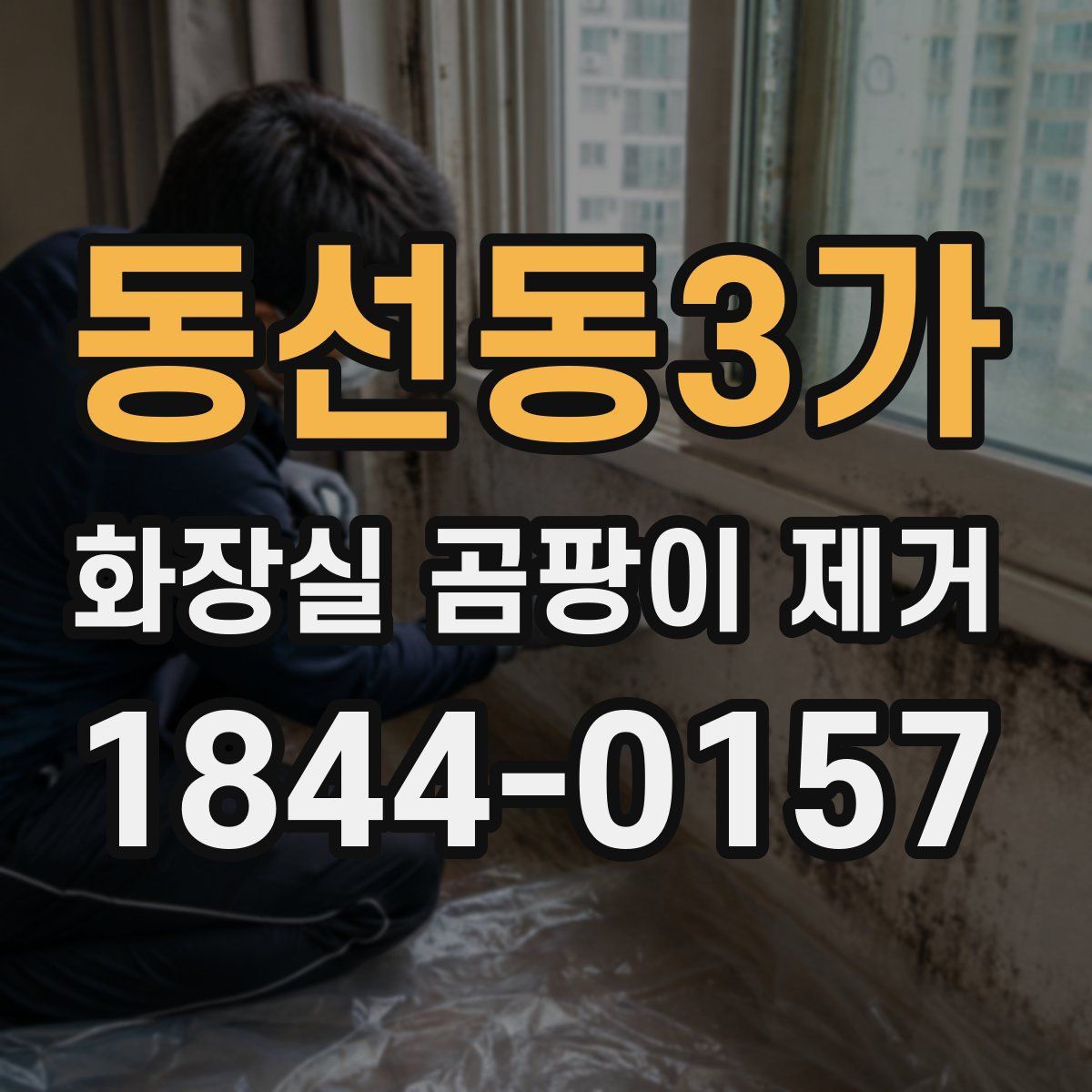 동선동3가 화장실 곰팡이 제거