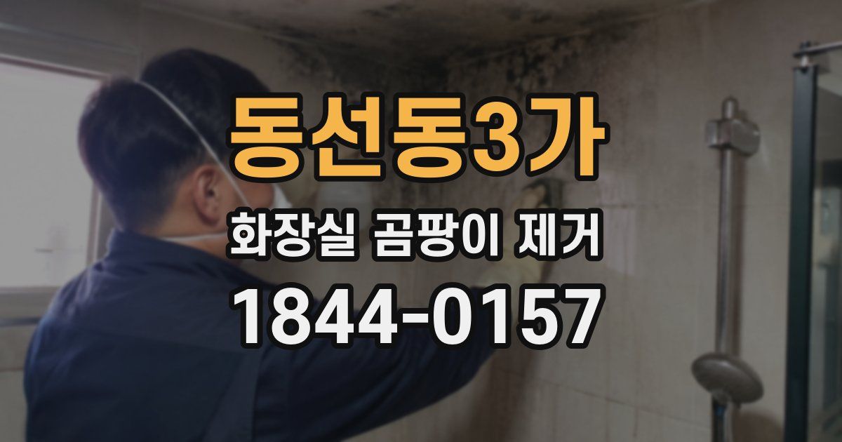 동선동3가 화장실 곰팡이 제거