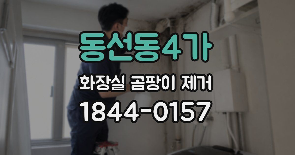 동선동4가 화장실 곰팡이 제거