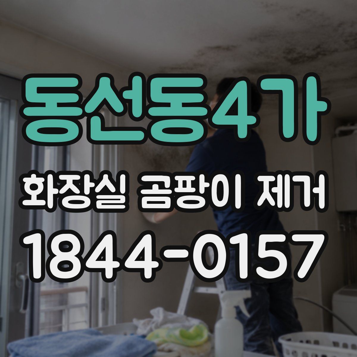 동선동4가 화장실 곰팡이 제거