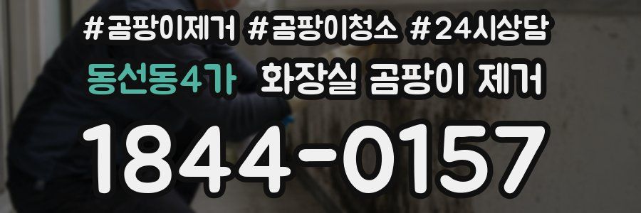 동선동4가 화장실 곰팡이 제거