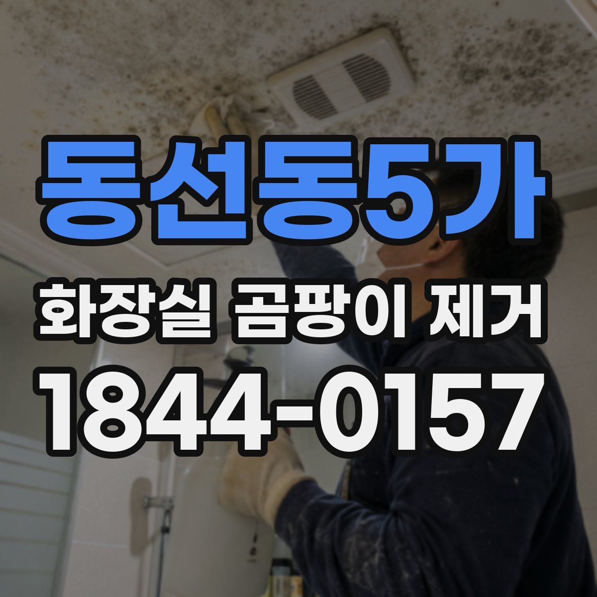 동선동5가 화장실 곰팡이 제거
