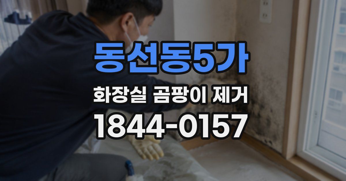 동선동5가 화장실 곰팡이 제거