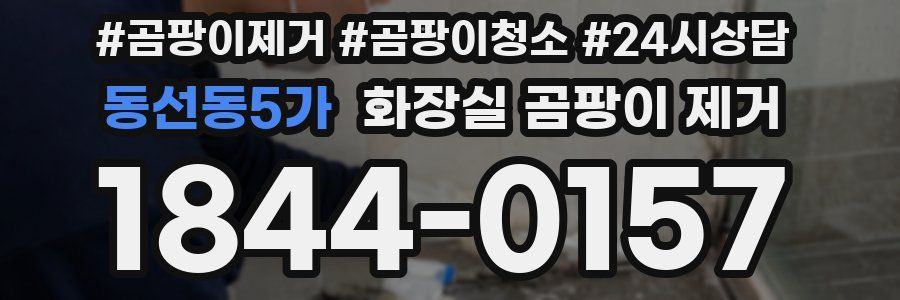 동선동5가 화장실 곰팡이 제거