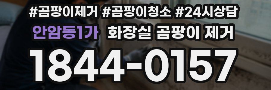 안암동1가 화장실 곰팡이 제거
