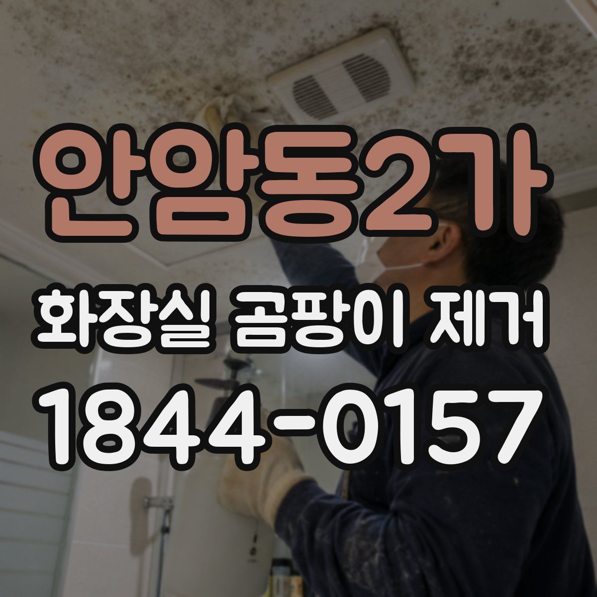 안암동2가 화장실 곰팡이 제거