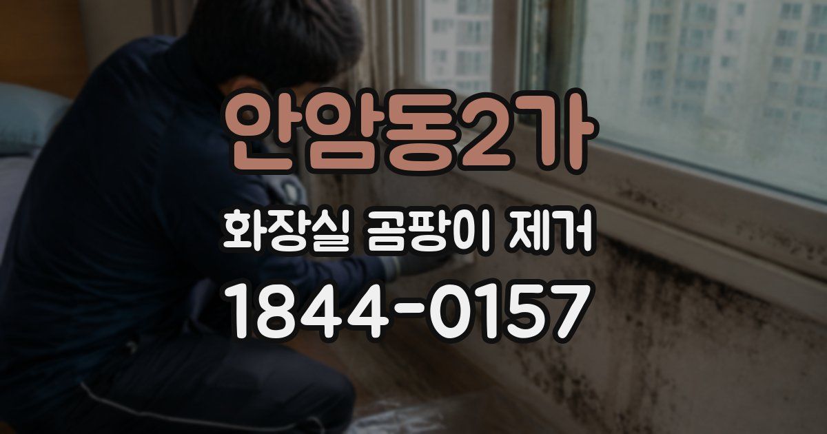 안암동2가 화장실 곰팡이 제거