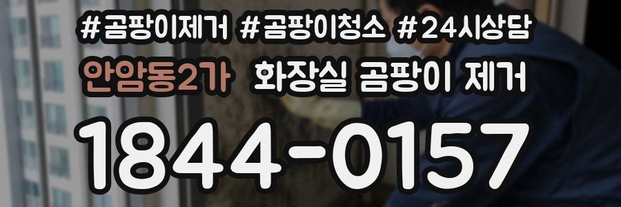 안암동2가 화장실 곰팡이 제거