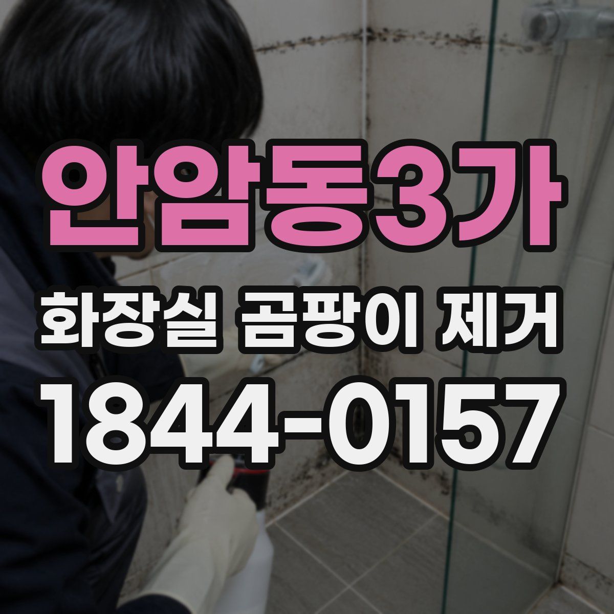 안암동3가 화장실 곰팡이 제거