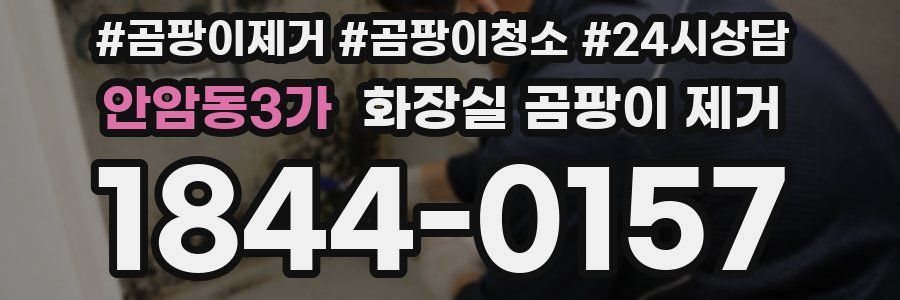 안암동3가 화장실 곰팡이 제거