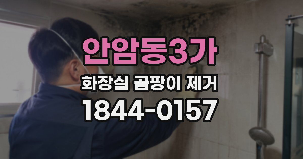 안암동3가 화장실 곰팡이 제거