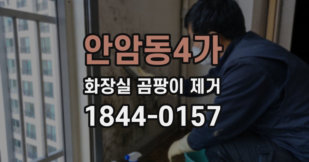 안암동4가 화장실 곰팡이 제거