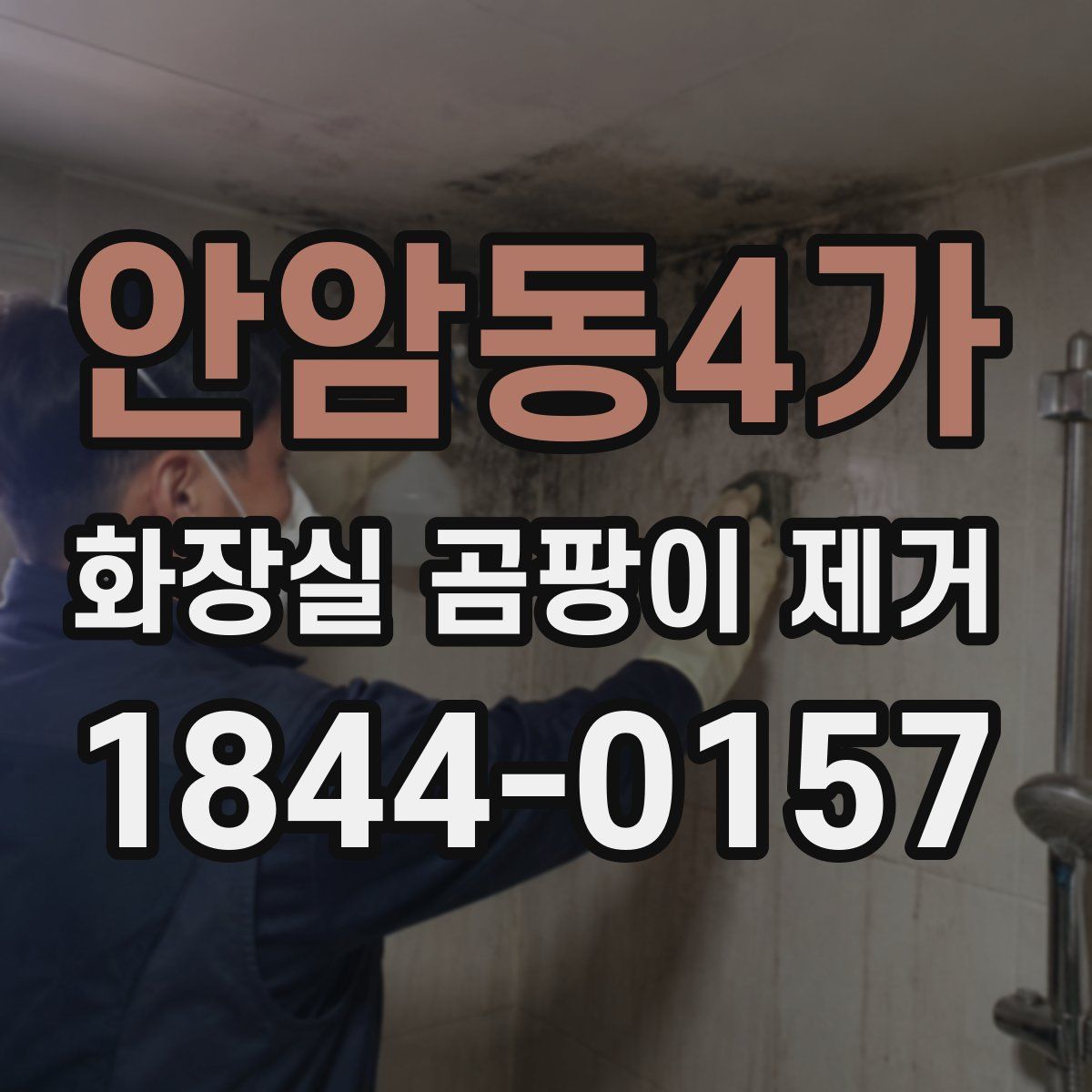 안암동4가 화장실 곰팡이 제거