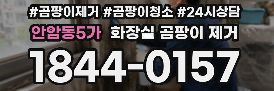 안암동5가 화장실 곰팡이 제거