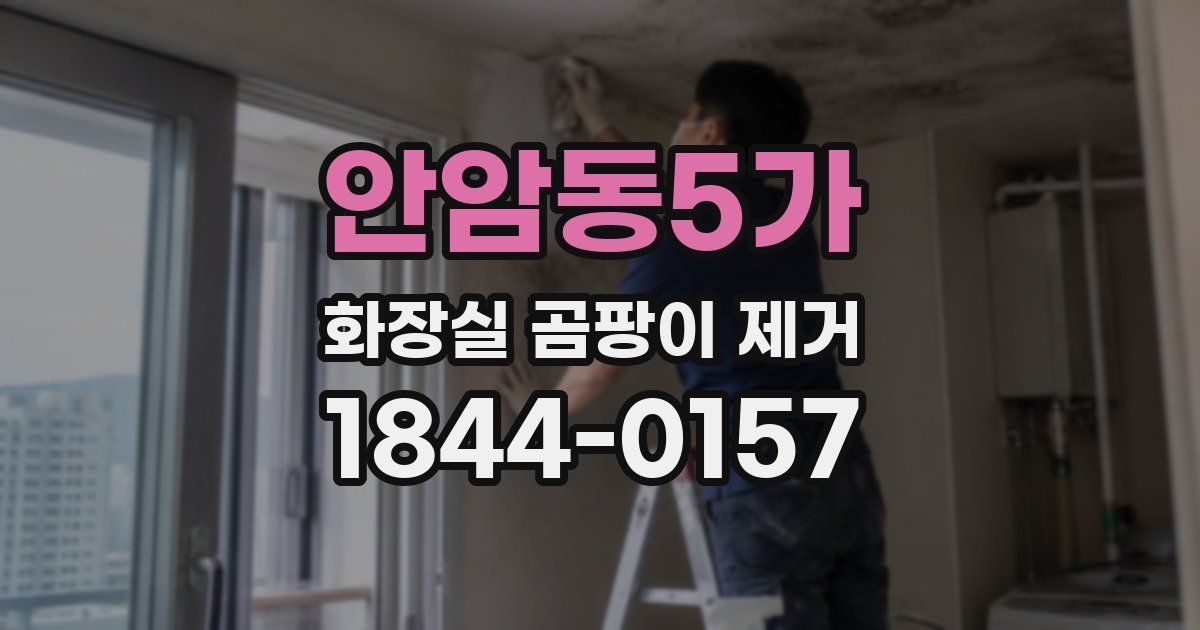 안암동5가 화장실 곰팡이 제거
