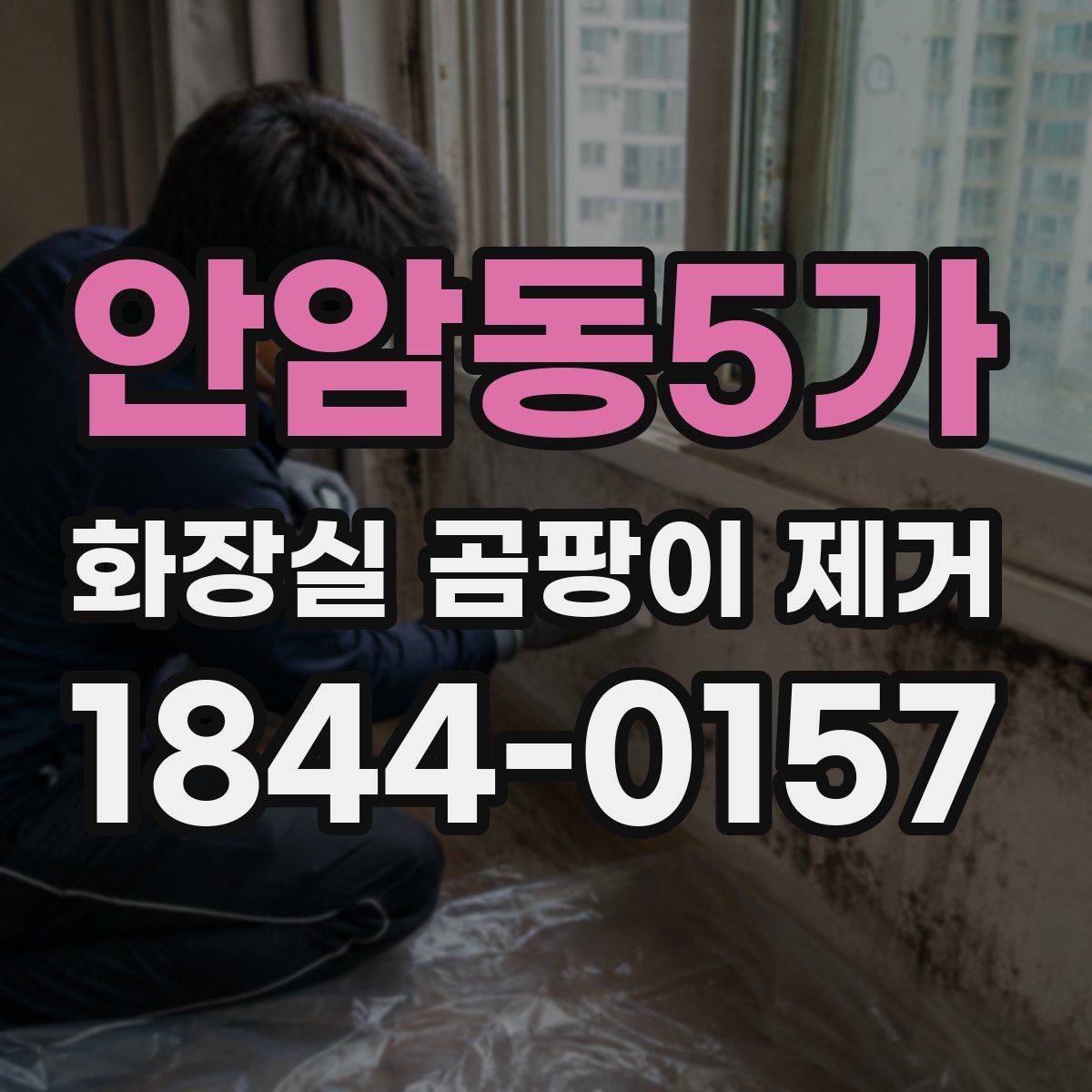 안암동5가 화장실 곰팡이 제거
