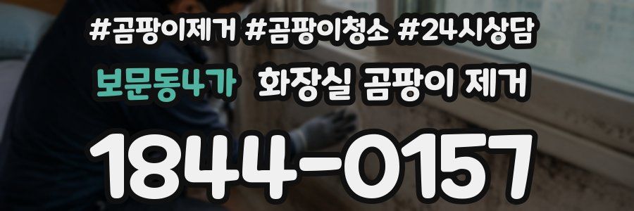 보문동4가 화장실 곰팡이 제거