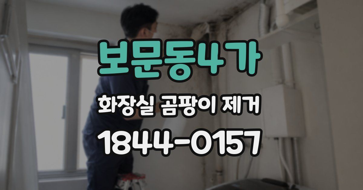 보문동4가 화장실 곰팡이 제거