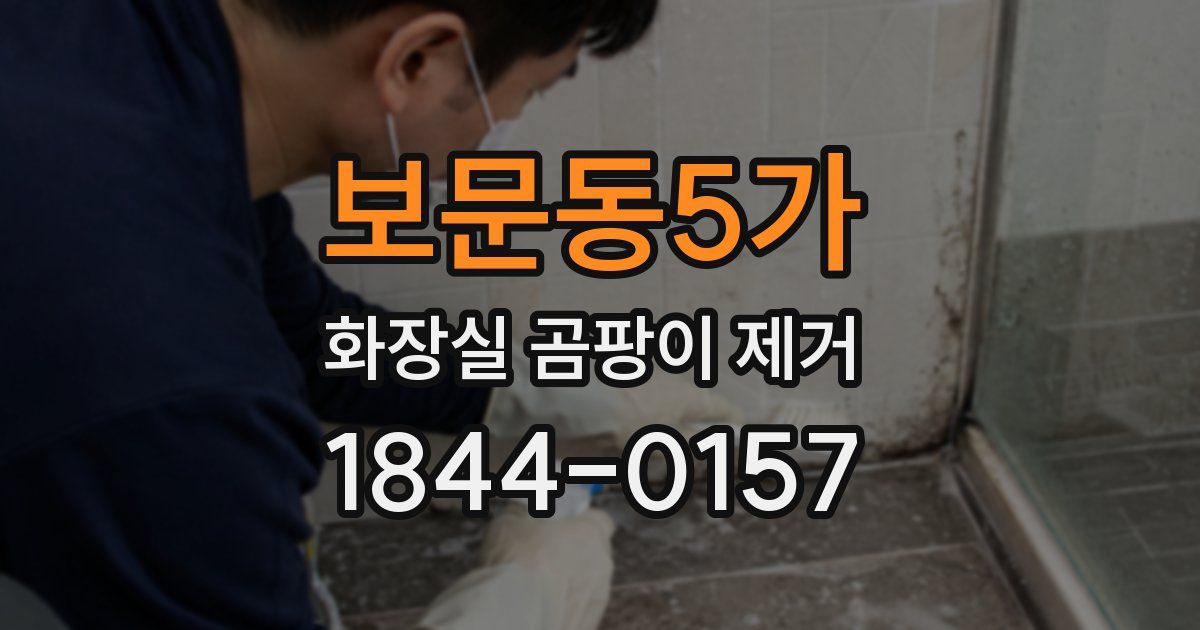 보문동5가 화장실 곰팡이 제거