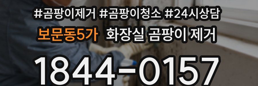 보문동5가 화장실 곰팡이 제거